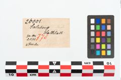 Etikett zu Bronzebogenfibel (NHMW-PRAE-026001)